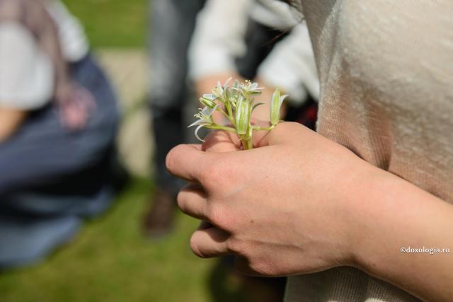 Foto: Oana Nechifor Să despărțim dragostea de patimă!