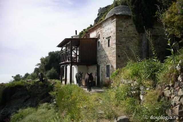 Mănăstirea Grigoriu – Athos