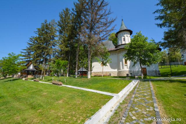 (Foto) Momente de tihnă la Mănăstirea Coșula
