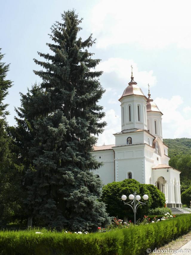 Mănăstirea Cocoș