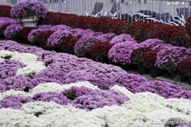 (Foto) Veșmânt de flori pentru sărbătoarea Sfintei Parascheva