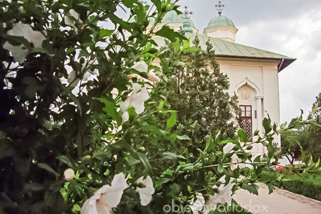 Mănăstirea Cernica - galerie FOTO