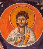 Sfântul Doctor fără de arginți Damian Sfântul Doctor fără de arginți Damian din Asia