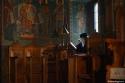Protosinghelul Mihail Bădilă – duhovnicul cu darul rugăciunii / Foto: Oana Nechifor călugăr bătrân citind din carte