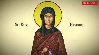 Sfânta Cuvioasă Macrina, sora Sfântului Vasile cel Mare Troparul Sfintei Cuvioase Macrina, sora Sfântului Vasile cel Mare