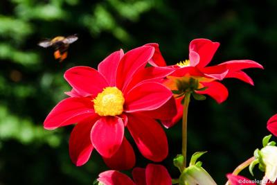 (Video) 5 sfaturi pentru viața de zi cu zi (Video) 5 sfaturi pentru viața de zi cu zi