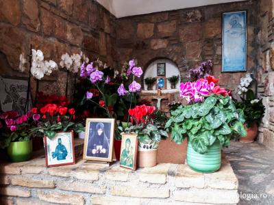 Mormântul Cuvioasei Macaria – monahia care a descoperit moaștele Sfântului Efrem cel Nou / Foto: Magda Buftea Mormântul Cuvioasei Macaria – monahia care a descoperit moaștele Sfântului Efrem cel Nou