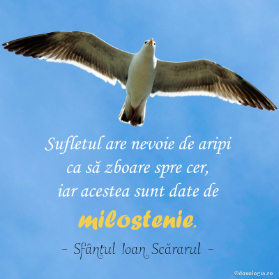 Sufletul are nevoie de aripi ca să zboare spre cer, iar acestea sunt date de milostenie Sufletul are nevoie de aripi ca să zboare spre cer, iar acestea sunt date de milostenie