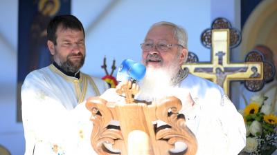 ips andrei ips andrei