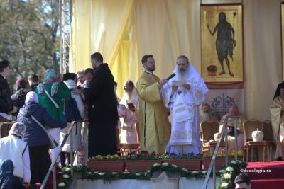 IPS Teofan IPS Teofan