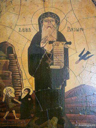 Sfântul Cuvios Antonie cel Mare Sfântul Cuvios Antonie cel Mare