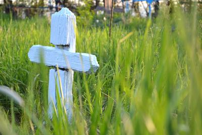 Crucile unui cimitir de țară Crucile unui cimitir de țară