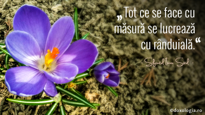 Tot ce se face cu măsură se lucrează cu rânduială Tot ce se face cu măsură se lucrează cu rânduială