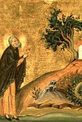 Sfântul Cuvios Isidor Pelusiotul - miniatură din Menologhionul lui Vasile al II-lea Macedoneanul (985. Vatican Library. Roma.)  Sfântul Cuvios Isidor Pelusiotul