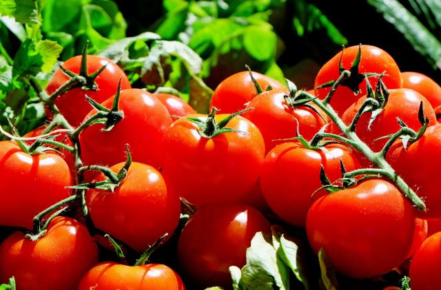 Tomatele: sănătate şi savoare