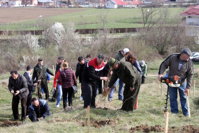 „Plantează România”, în Eparhia Argeșului și Muscelului