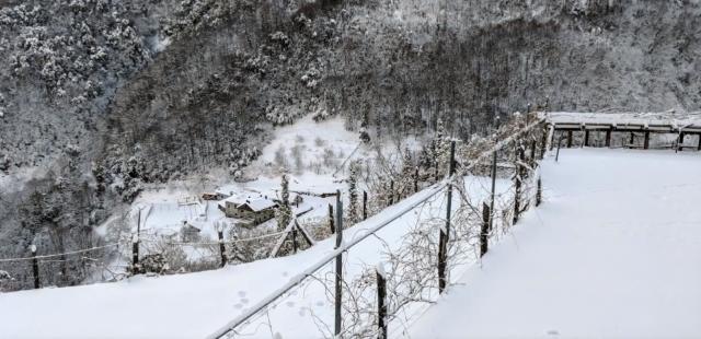 (Foto) Zile de iarnă la Schitul „Sfântul Dimitrie” – Lacu, Muntele Athos