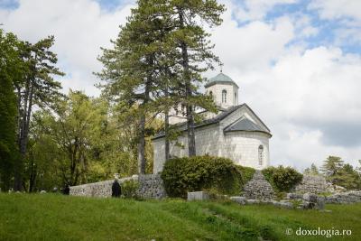 Mănăstirea Cetinje